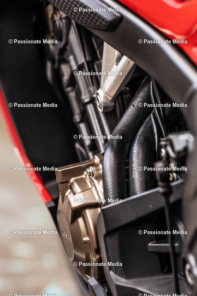 _DSC5098 | Passionate Media, dein Fotograf aus Brandenburg, Märkisch Oderland, im Bereich Motorsport, Autos und Motorräder sowie Events und auch Hunde. Shootings oder auch Eventbegleitungen können bei mir gebucht we