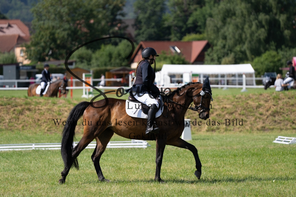 A7V09661 | Pferdefotograf