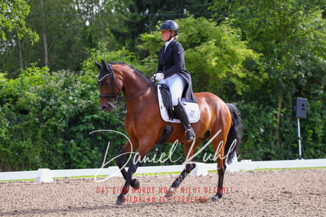 DKP41613 | Turnierfotos kaufen im Webshop von Daniel Kuhl Photography – entdecke professionelle Reitsportfotos aus Turnieren & Events. Hochwertige Turnierbilder online bestellen & sichern. Jetzt Fotos von Reitsportturnieren kaufen!
