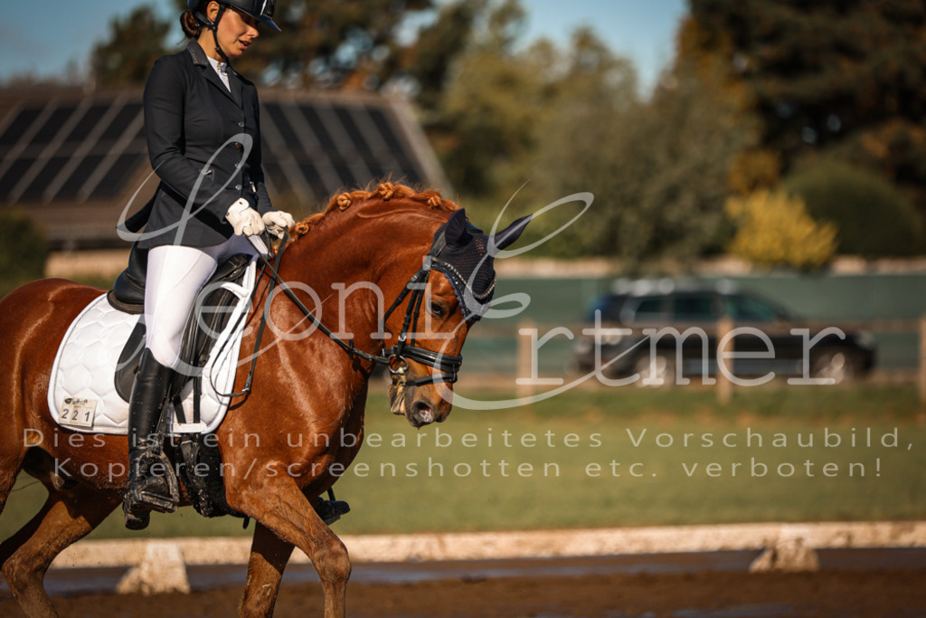 13.SoDrA100431 | Leoni Ertmer Photography - Realisiert mit Pictrs.com