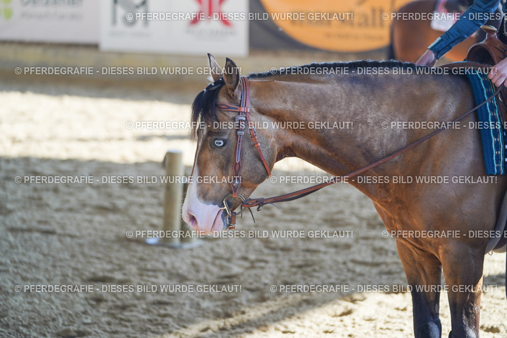 DSC09462 | Pferdegrafie