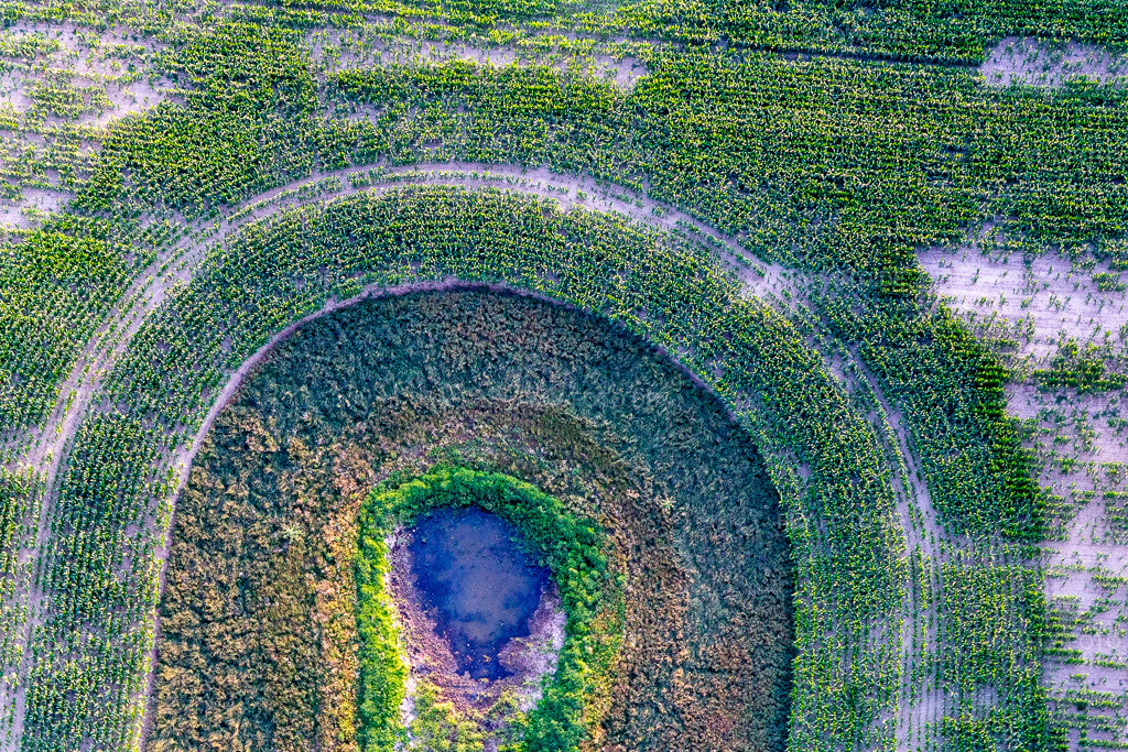 Luftbild: Uferbereiche eines Toteissees auf einem Maisfeld im Ortsteil Flieth in Flieth-Stegelitz im Bundesland Brandenburg in Deutschland. Foto: IMG_116310.jpg vom 17.07.2019 durch Werner Riehm/FLY-FOTO.de