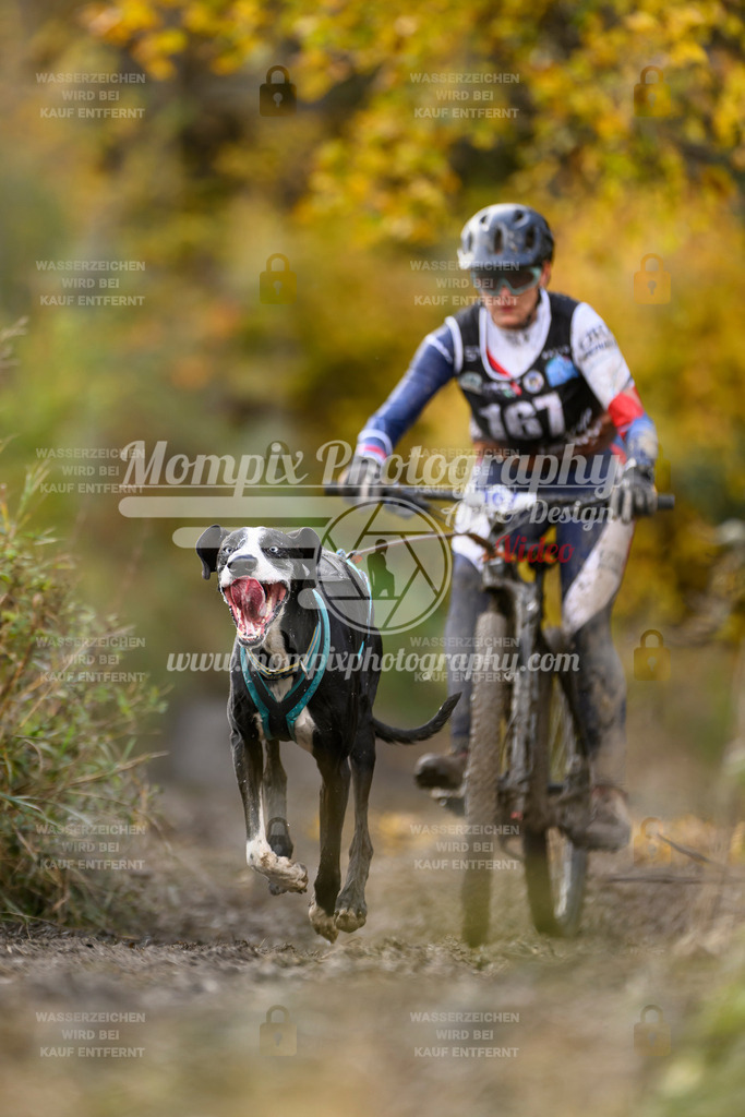 MompixPhotography_ICF_WC_2024_SA_Bike_-229 | PayLife