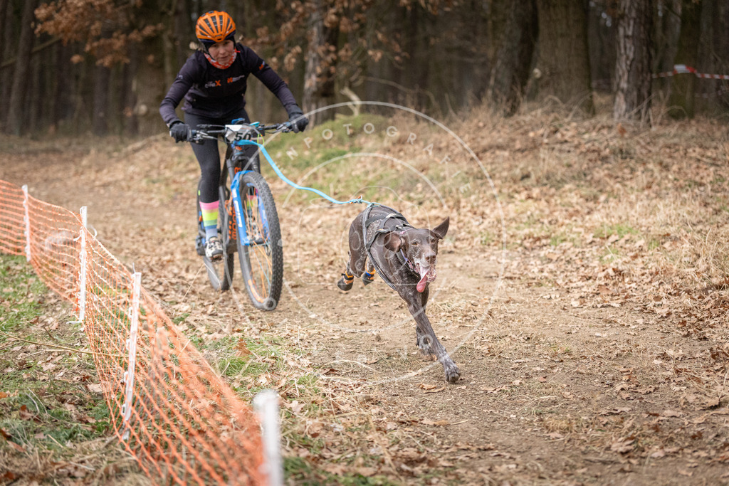 Pfotenfotografie_DV3A1367 | Hundefotografie, Tierfotograf, Pfotenfotografie, Fotoshooting Hund, Hunde Portrait, Hundesport, Hundeportraits, Heideshooting, Hunde, Sportfotograf, Hundefotograf, Turnierhundsport, THS,  - Realisiert mit Pictrs.com