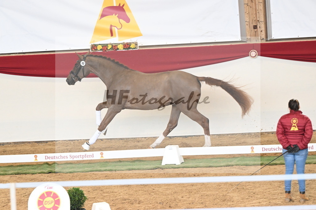 Kat.-Nr. 80 v. Va Bene_Klakow_3261256 | hf-fotografie - Realisiert mit Pictrs.com