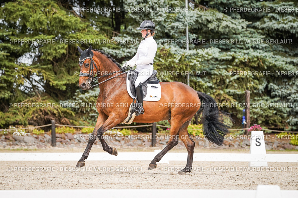 DSC06722 | Pferdegrafie