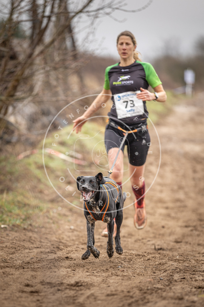 DV3A9694 | Hundefotografie, Tierfotograf, Pfotenfotografie, Fotoshooting Hund, Hunde Portrait, Hundesport, Hundeportraits, Heideshooting, Hunde, Sportfotograf, Hundefotograf, Turnierhundsport, THS,  - Realisiert mit Pictrs.com