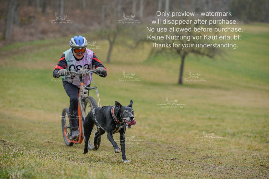 Sa_Scooter1-148 | stephaniefillaphotographie - Realisiert mit Pictrs.com