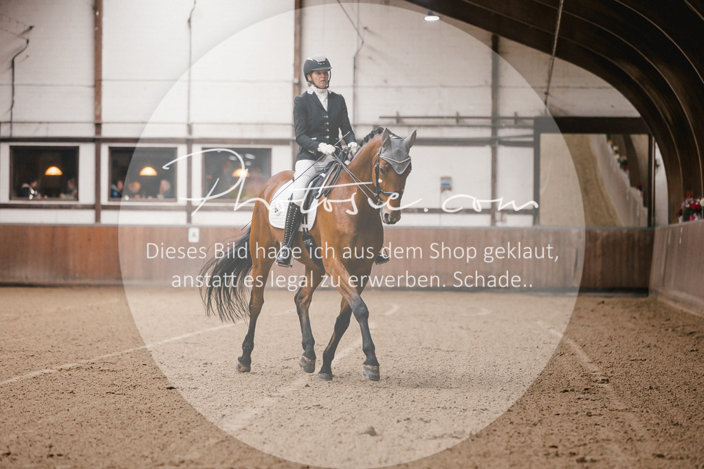 3I6A8085 | Stimmungsvolle Portraits und Reitsportfotografie im Ruhrgebiet und im Münsterland.

Pferdefotografie, Hundefotografie, Tierfotografie, Reportagen, Portraits von Tier und Mensch, Turnierfotografie in Bochum, Recklinghausen, Marl, Haltern am See, Dülmen.. - Realisiert mit Pictrs.com
