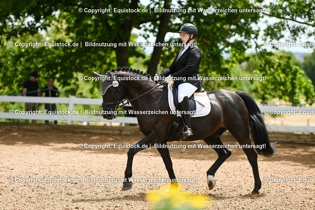 20230716_03_Dressurprfg. Kl.L - Tr._0188 | equistock