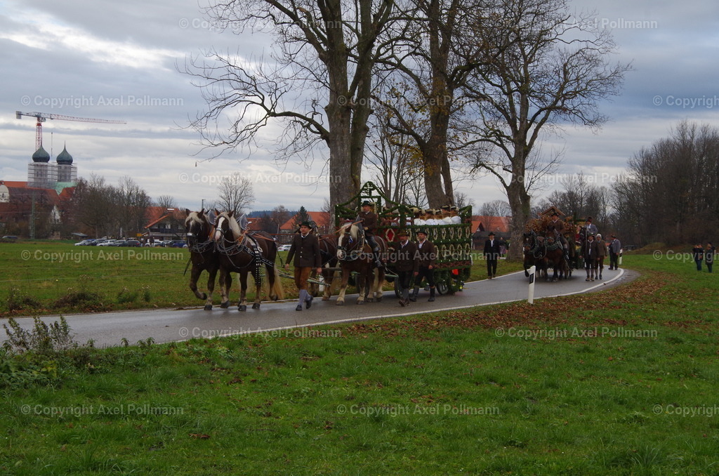 IMGP9845 | fotografiert von Axel PollmannLeonhardi Wallfahrt Benediktbeuern und Murnau, Fronleichnam, Fasching, Landschaft im Loisachtal und Benediktbeuern  - Realisiert mit Pictrs.com