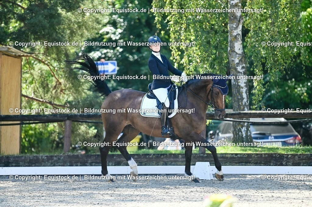 20230908_06_Dressur-L-Trense_0390 | equistock