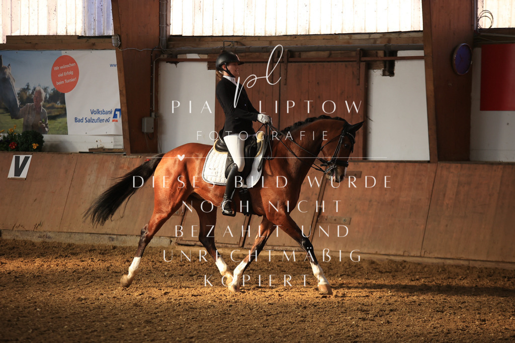 IMGT1446 | pl-fotografie