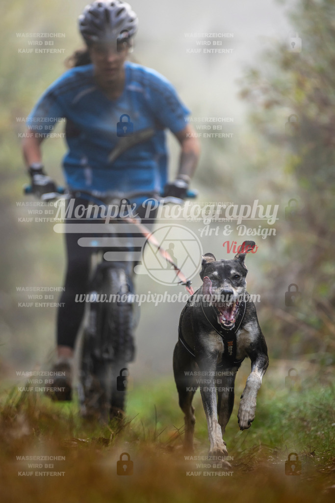 MompixPhotography_20TSB_E4_DS1-36 | PayLife