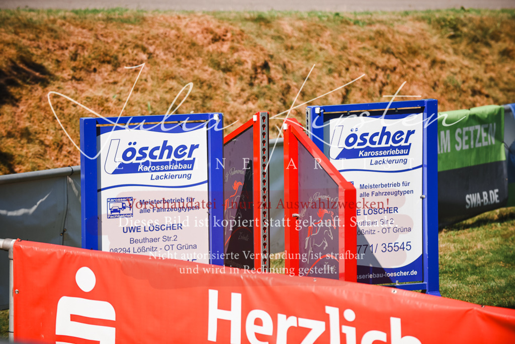 DSC_2675 | Pferde- und Turnierfotografie in Westsachsen. Pferdeportraits, Auftragszeichnungen und intuitive Kunst.