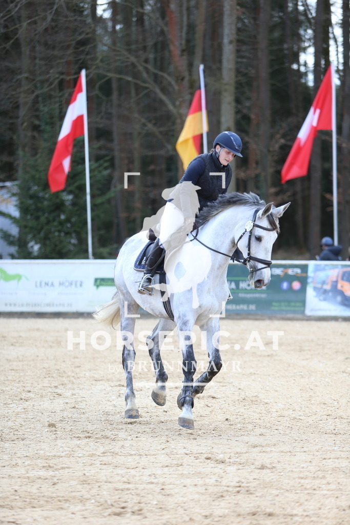 DL2Q9484 | Willkommen bei Brunnmayr - Design & Fotografie – Ihrem Spezialisten für Reitturniere und Pferdeveranstaltungen in Oberösterreich, Salzburg und Bayern! Seit über 17 Jahren sind wir leidenschaftlich dabei.