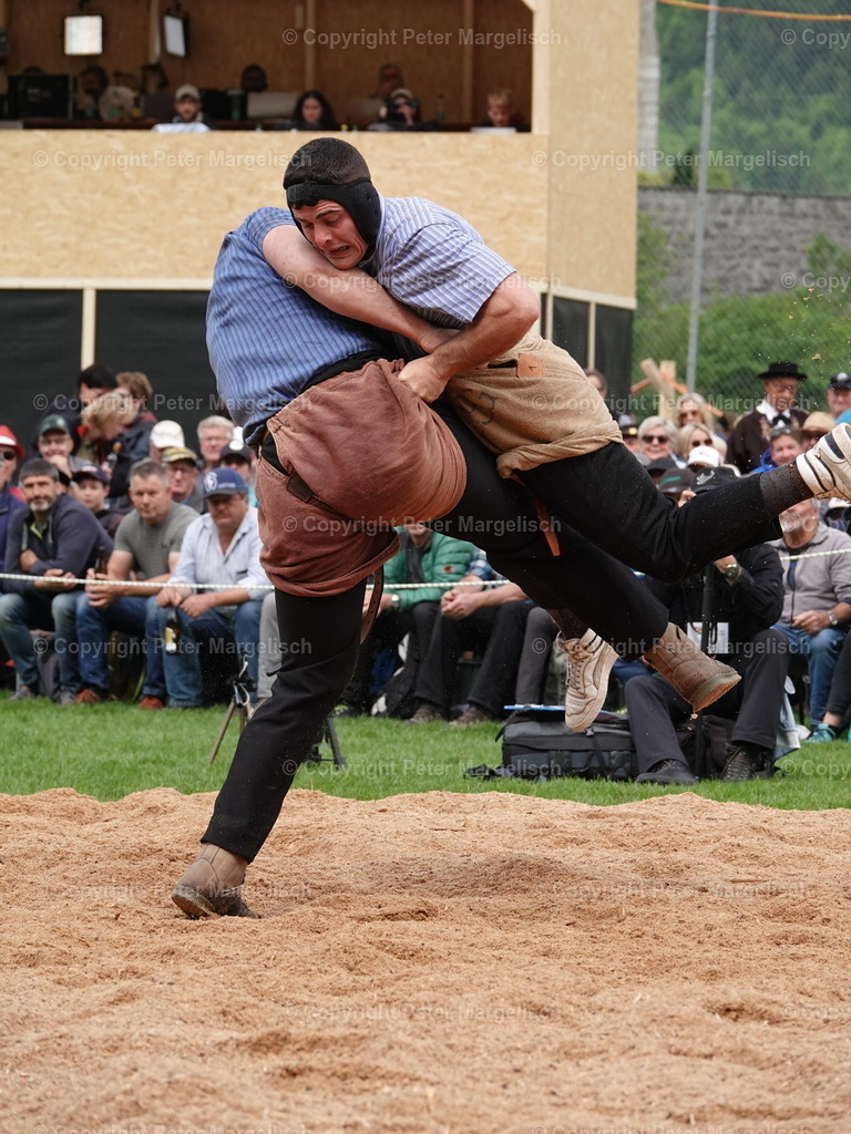 DSC07163 | Schwingen - Realisiert mit Pictrs.com