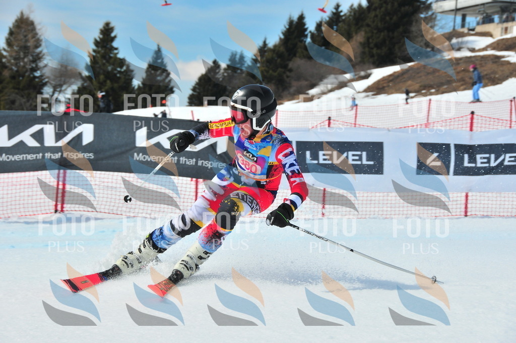 DSC_7214 | holidayphoto