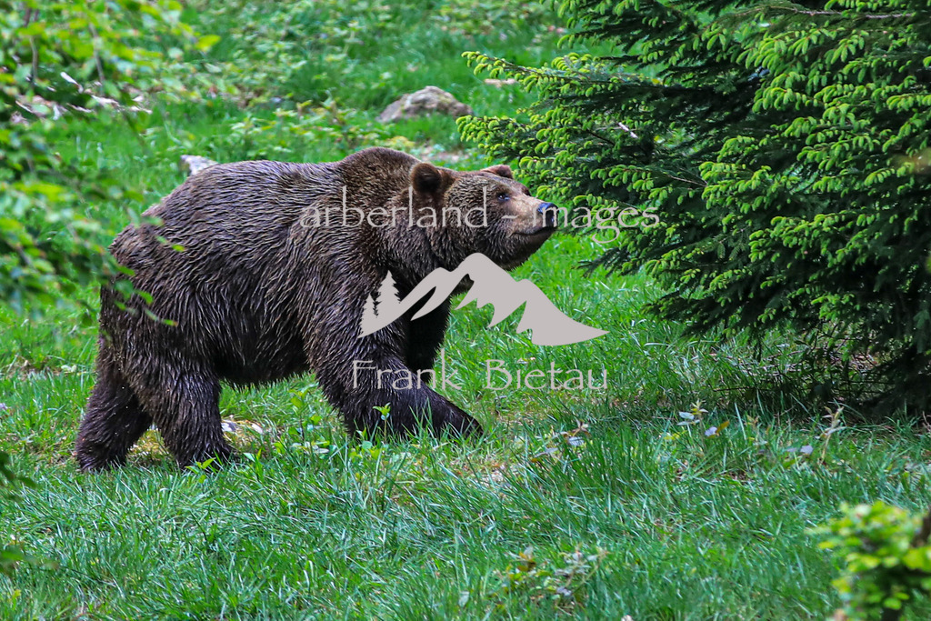 OE7A5571 | Medien- Sport- Entertainmentfotos