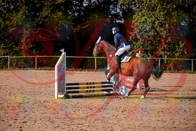 2026_10_03_Siefer-Hof_160614_Z81_87502816 | Professionelle Reitsport-, Turnier- und Eventfotografie von Robert Broda. Galerien mit ausgewählten und bearbeiteten Bildern direkt online ansehen und bestellen.