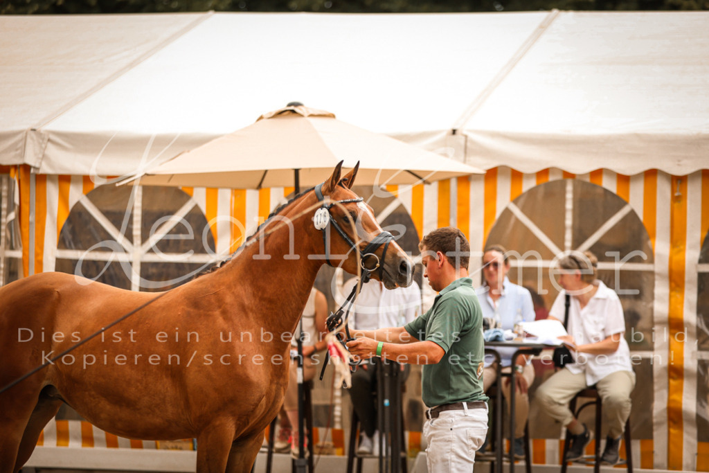 08.So00020 | Leoni Ertmer Photography - Realisiert mit Pictrs.com