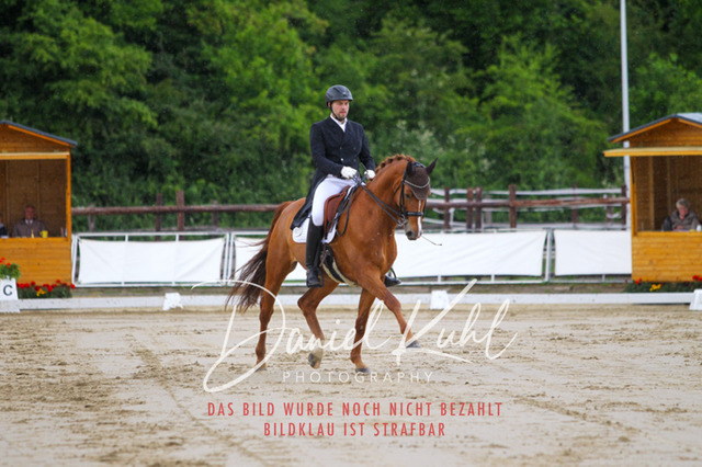 DKP47877 | Turniersportfotografie; Pferdefotografie; Dressurfotografie