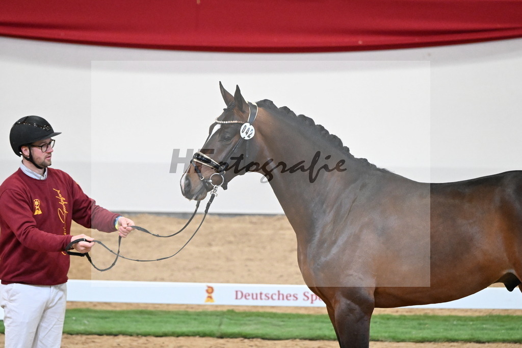 Kat.-Nr. 42 v. Benicio_De Vittorio_2250036 | hf-fotografie - Realisiert mit Pictrs.com