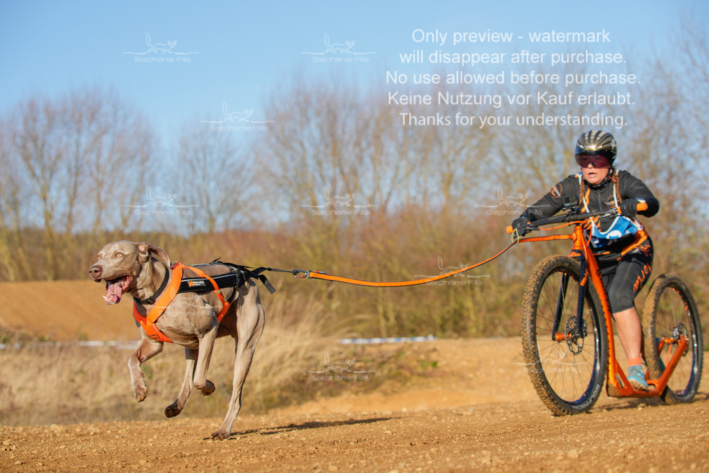 So_DVGBSP2025_Scooter (57 von 286) | stephaniefillaphotographie - Realisiert mit Pictrs.com