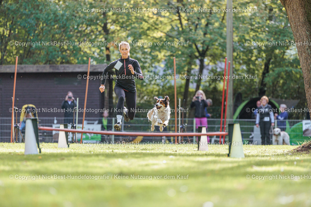 THS-HSV-Blumenthal-2026-Nickbest-Hundefotografie-3124 | Dein Hund! Dein Moment! Deine Erinnerungen! Hundefotografie in Bremen Blumenthal. Ich fange die besonderen Momente deines Vierbeiners ein – ob Indoor mit Blitzanlage oder in der freien Natur. Sicher dir dein Moment und dein Termin für eure Erinnerungen.
