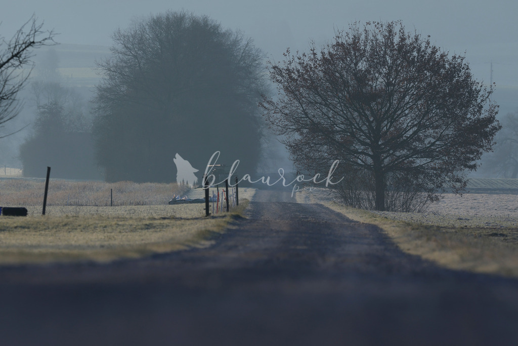 701A5141 | Sportbilder, Sportfotograf, Hochzeits- und Eventfotografin, Flugshows, Portraits und Tiershooting, Aviation, Downhill, Nationalleague, Swissleague, International