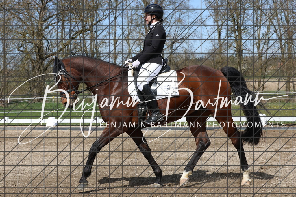 AZ2A3918 | Benjamin Bartmann Photomoments