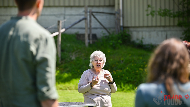 Beagle Club Schweiz  | Beagle Club Schweiz, 45 Jahre in Menziken 2025 Foto: Leo Wyden