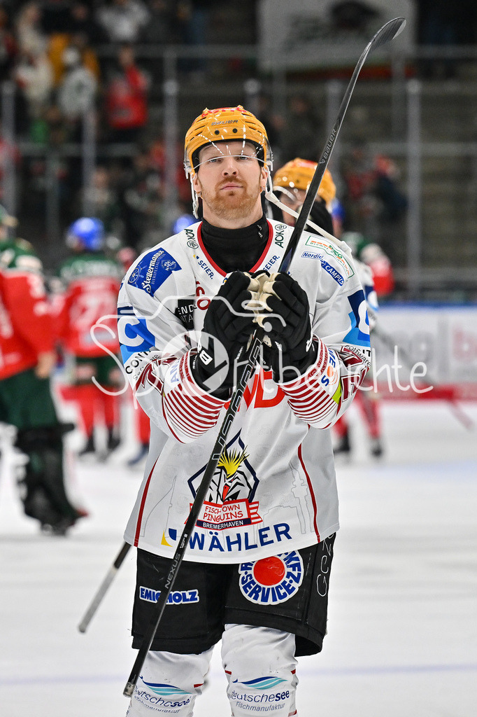 Augsburger Panther - Fischtown Pinguins | Die Spieler aus Bremerhaven bedanken sich bei den mitgereisten Fans / DEL: Augsburger Panther - Fischtown Pinguins, Curt Frenzel Stadion am 08.01.2025