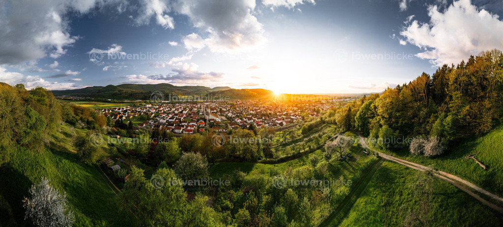 Streuobstwiesen bei Gingen | löwenblicke | shop