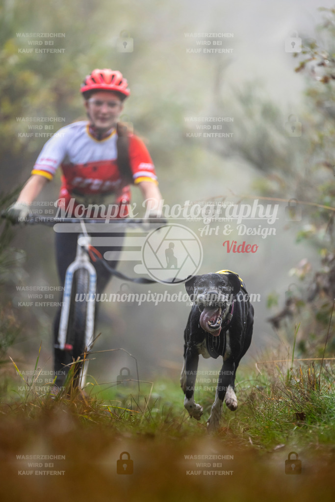 MompixPhotography_20TSB_E4_DS1-40 | PayLife