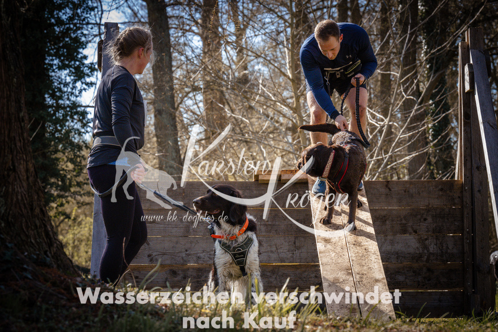 0925_ZZ95597 | kk-dogfotos