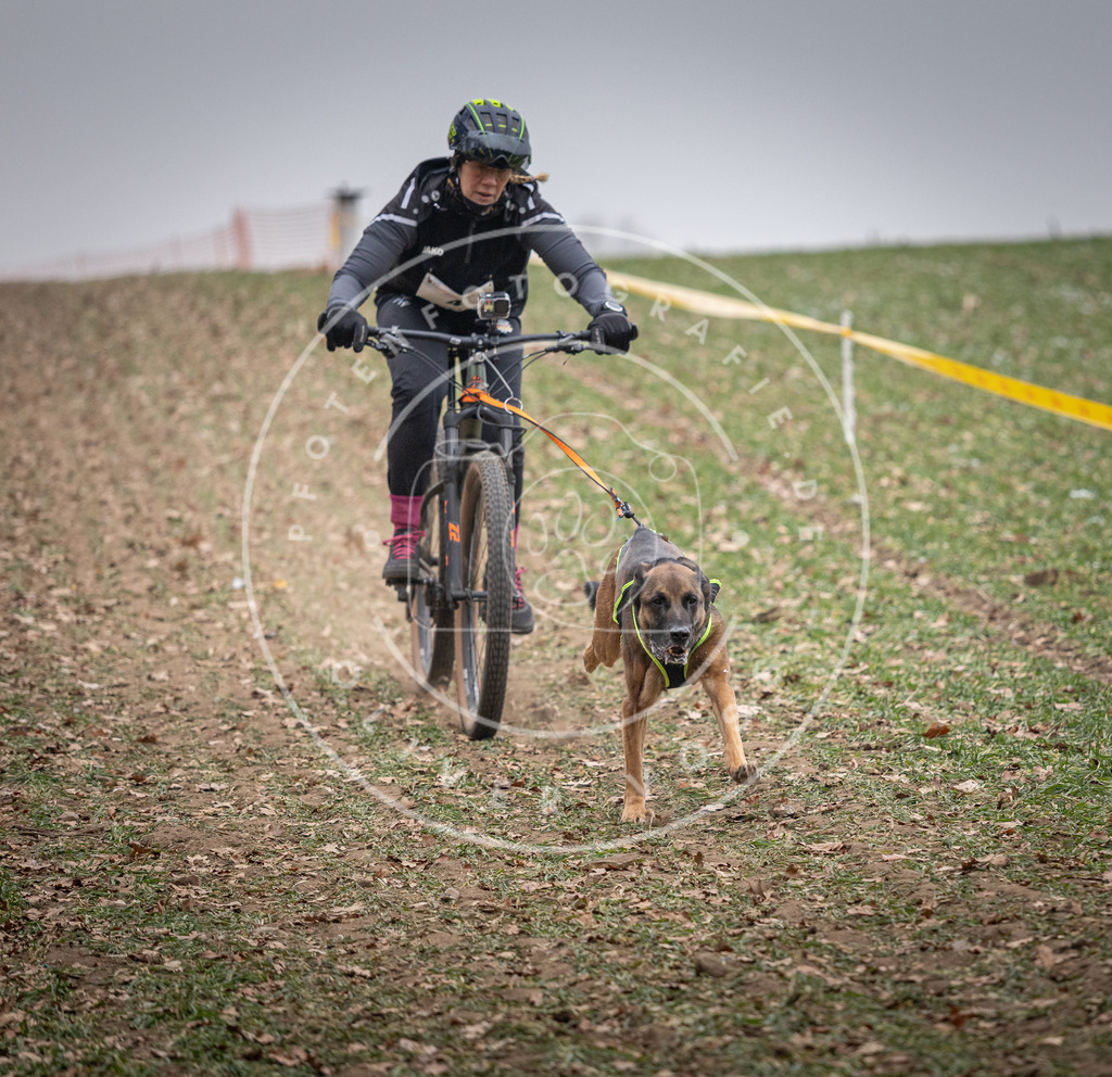 Pfotenfotografie_DV3A1536 | Hundefotografie, Tierfotograf, Pfotenfotografie, Fotoshooting Hund, Hunde Portrait, Hundesport, Hundeportraits, Heideshooting, Hunde, Sportfotograf, Hundefotograf, Turnierhundsport, THS,  - Realisiert mit Pictrs.com