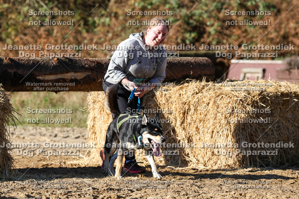 Dog Paparazzi - Strongdog 10-25-2009 | Dog Paparazzi Jeanette Grottendiek Fotografie & Videografie - Realisiert mit Pictrs.com