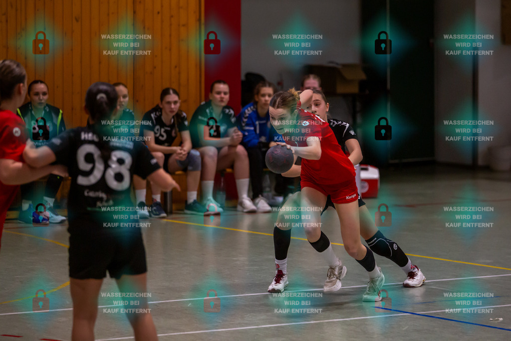 _HP_2378_3000o | JSG Welling-Bassenheim gegen HSG Dudenhofen-Schifferstadt 09.03.2024