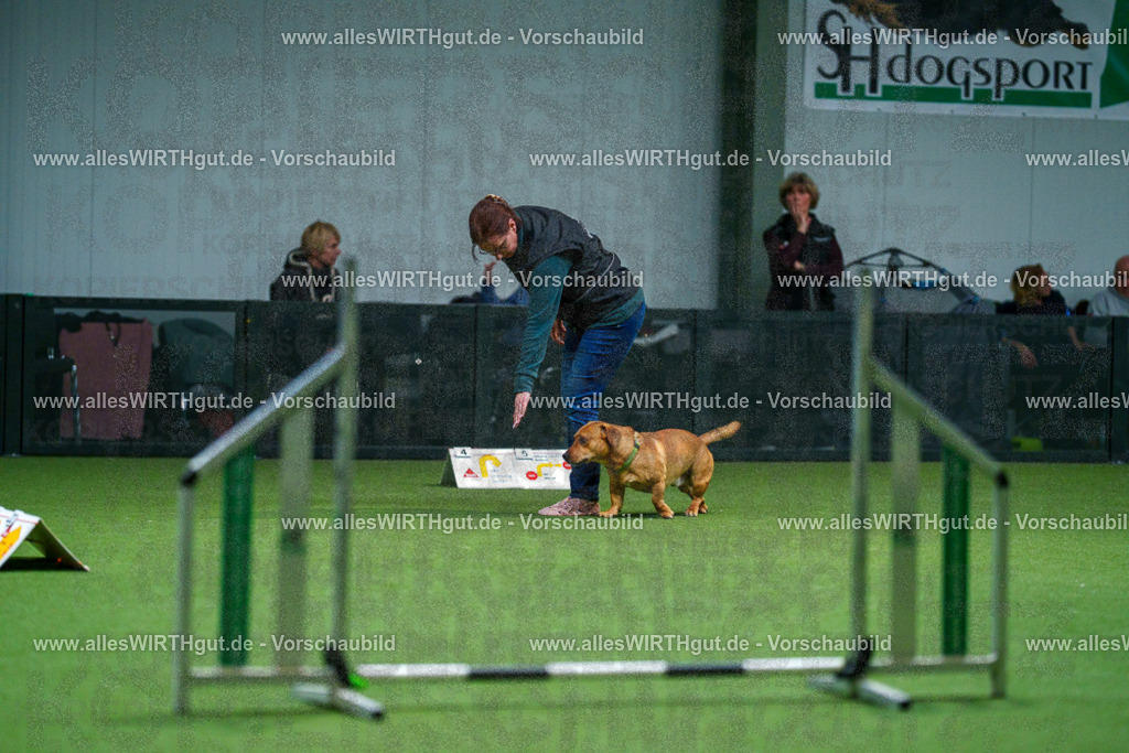 7R502354 | Professionelle Tierfotografie in Mönchengladbach von Daniel Wirth (allesWIRTHgut). Liebevolle & natürliche Bilder von Hunden & Katzen für unvergessliche Erinnerungen.