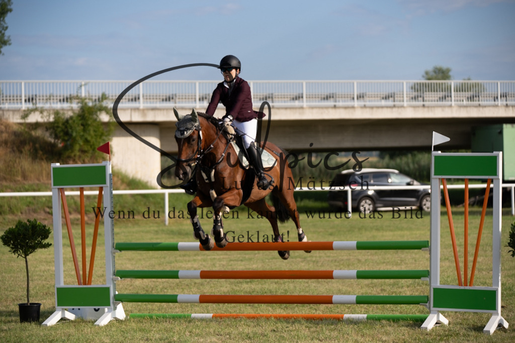 A7V01176 | Pferdefotograf