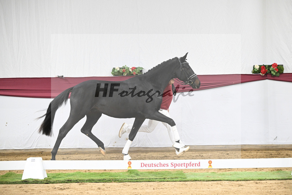 Kat-Nr. 34 Iron x Fuersten-Look_Thomas Casper_47251156 | hf-fotografie - Realisiert mit Pictrs.com