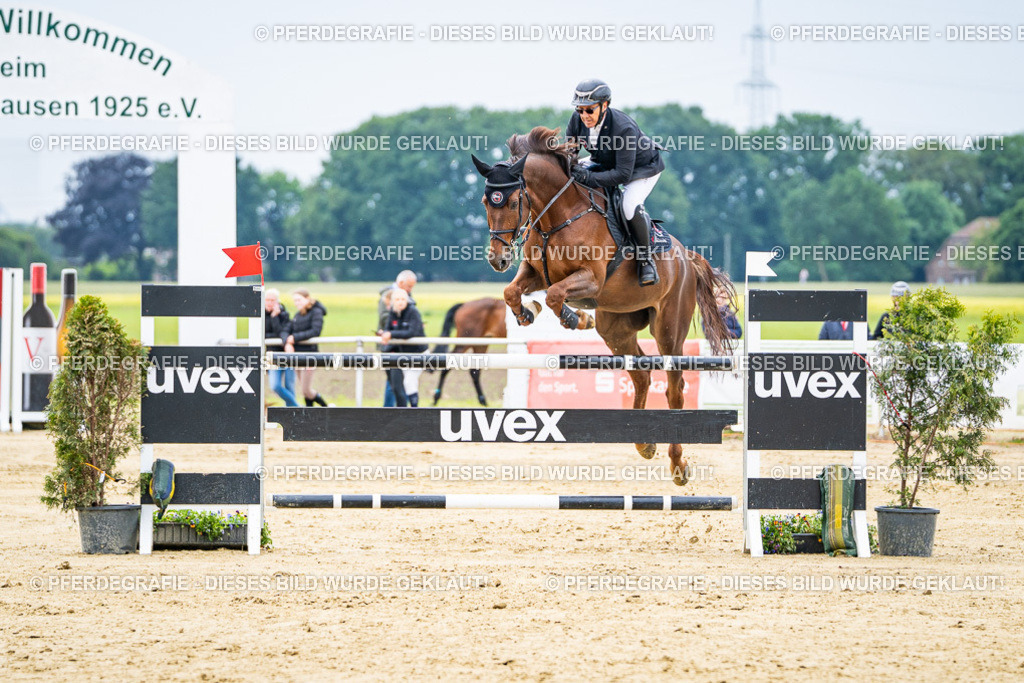 DSC06778 | Pferdegrafie