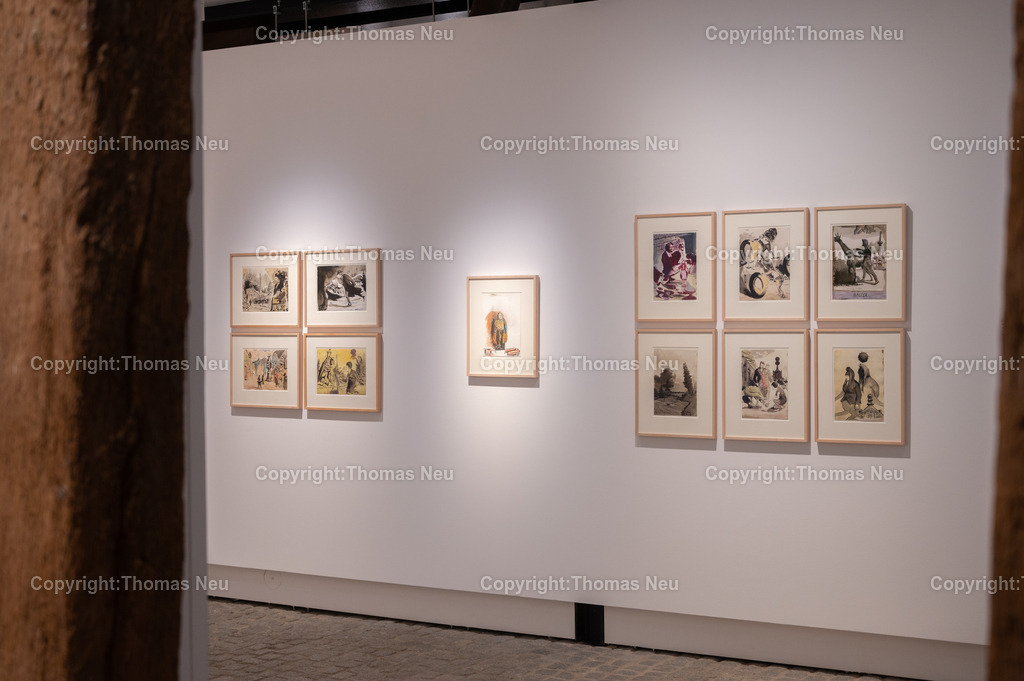 20_Neo_Rauch_Museum_Bensheim | 6.7.2024, bbe, Museum Bensheim, Ausstellung Neo Rauch "im Papiergrund", ,, Bild: Thomas Neu