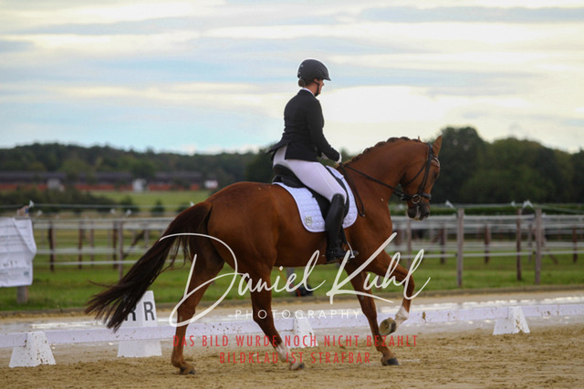 DKP43746 | Turniersportfotografie; Pferdefotografie; Dressurfotografie