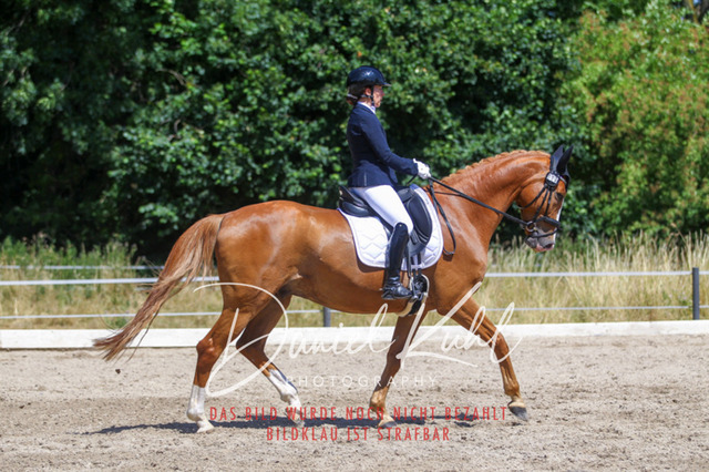 DKP46604 | Turniersportfotografie; Pferdefotografie; Dressurfotografie