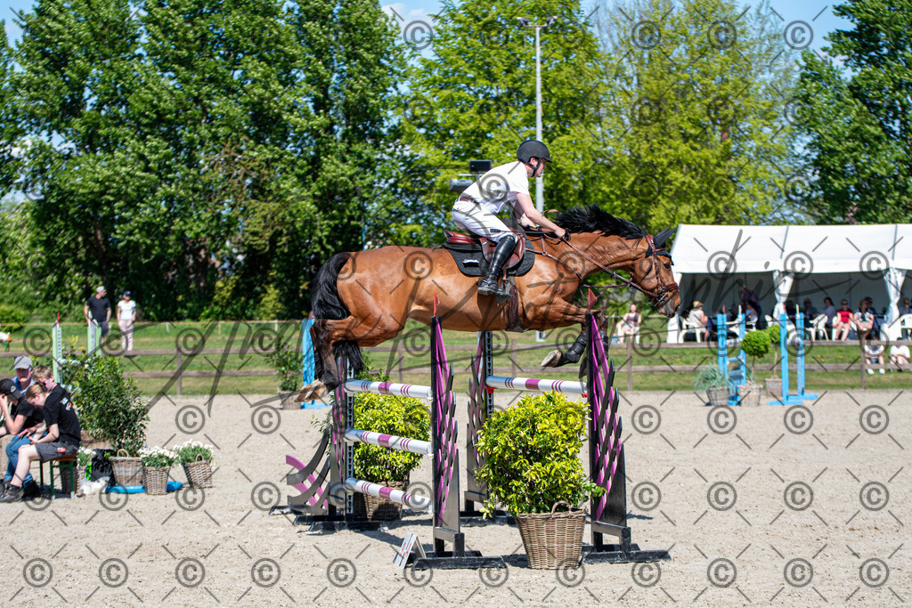 KPT_1340 | andre_photographic