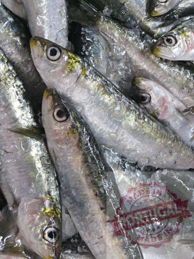 Fresh sardines on ice at fish market | Fresh sardines with shiny silver scales and eyes on a bed of ice - Realisiert mit Pictrs.com