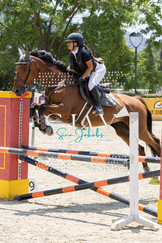 IMG_1631 | s-jay-photography - Realisiert mit Pictrs.com