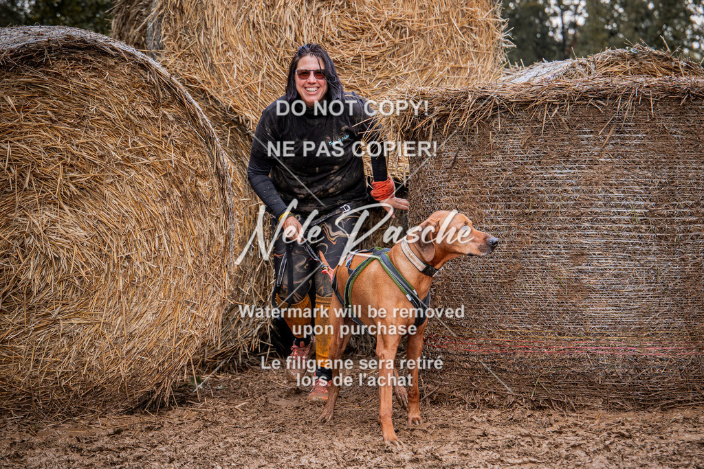 nelerasche_Hunsrück_So09-11_253 | nelerasche